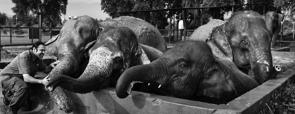 Animal spirits need nurturing