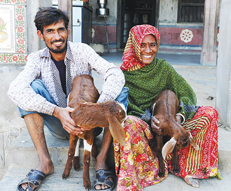 A couple in rural Rajasthan with an important part of their assets