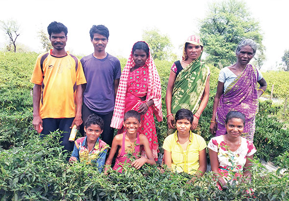 Dairy farmers in the Dungarpur district of Rajasthan