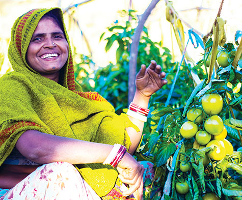 livelihood programmes in india