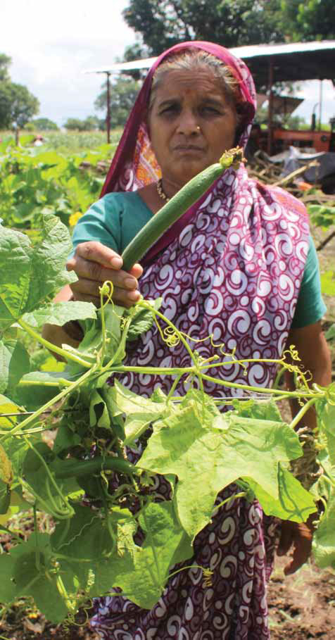 Mandabai Shelke, from Sinnar Vajivaran village in Nashik district, is among the farmers who have benefitted from the WRDM programme