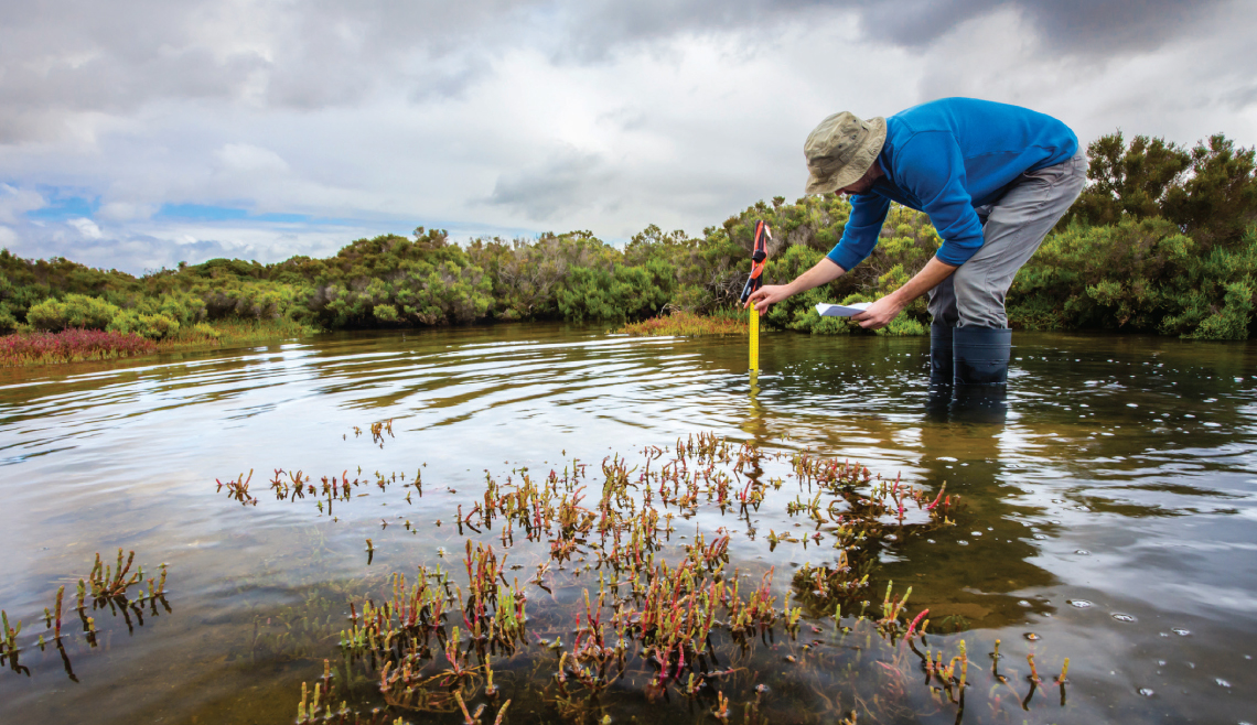 Water diagnostic toolkit
