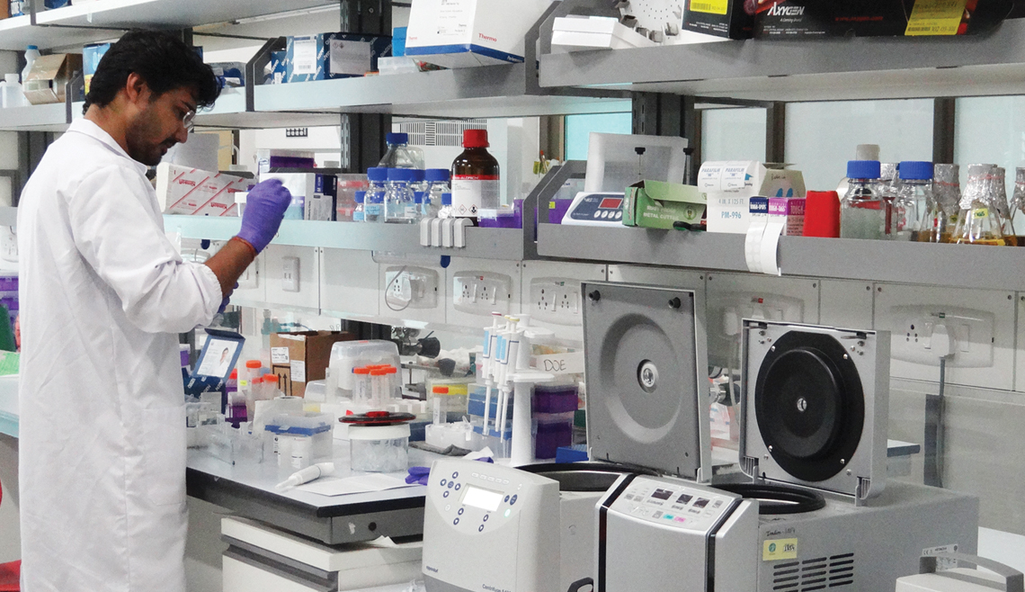 A TIGS researcher extracts genomic DNA from a fly for experiments