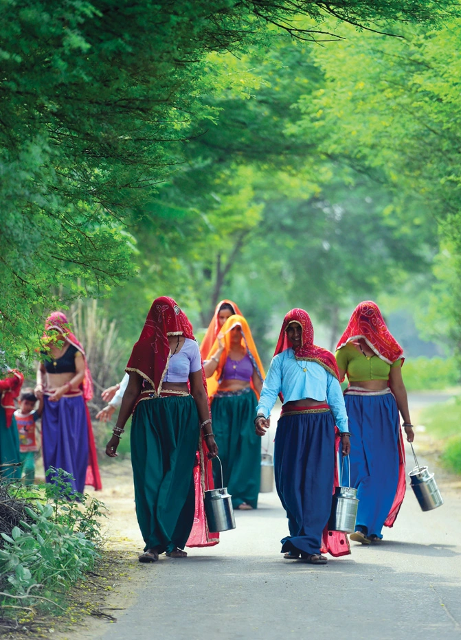 Dairy farmers belonging to the Sakhi Mahila milk producer company from Nithari village in Rajasthan’s Alwar district