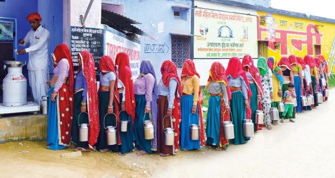 Members of the Sakhi MPC at the nodal pooling point in Thanagazi in Rajasthan’s Alwar district