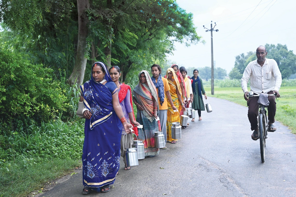 Members of the Shwetdhara milk producer company from Jaitapur village in Uttar Pradesh’s Pratapgarh district heading to the pooling point to deposit their morning collection