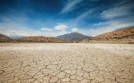 Effective action for climate change