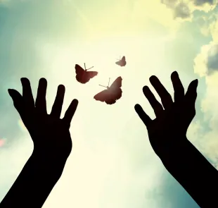 A Social balm to heal and calm