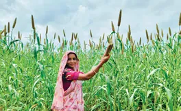 Creating a climate for smart farming 