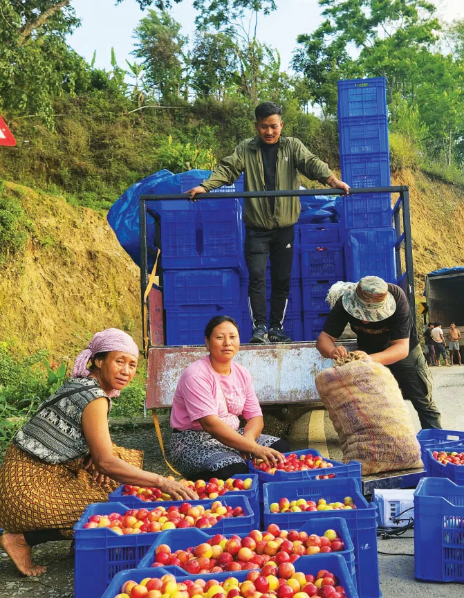 Members of the Kade FPO with their produce in Pfutsero in Phek district