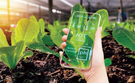 AI for social good: Promises and praxis