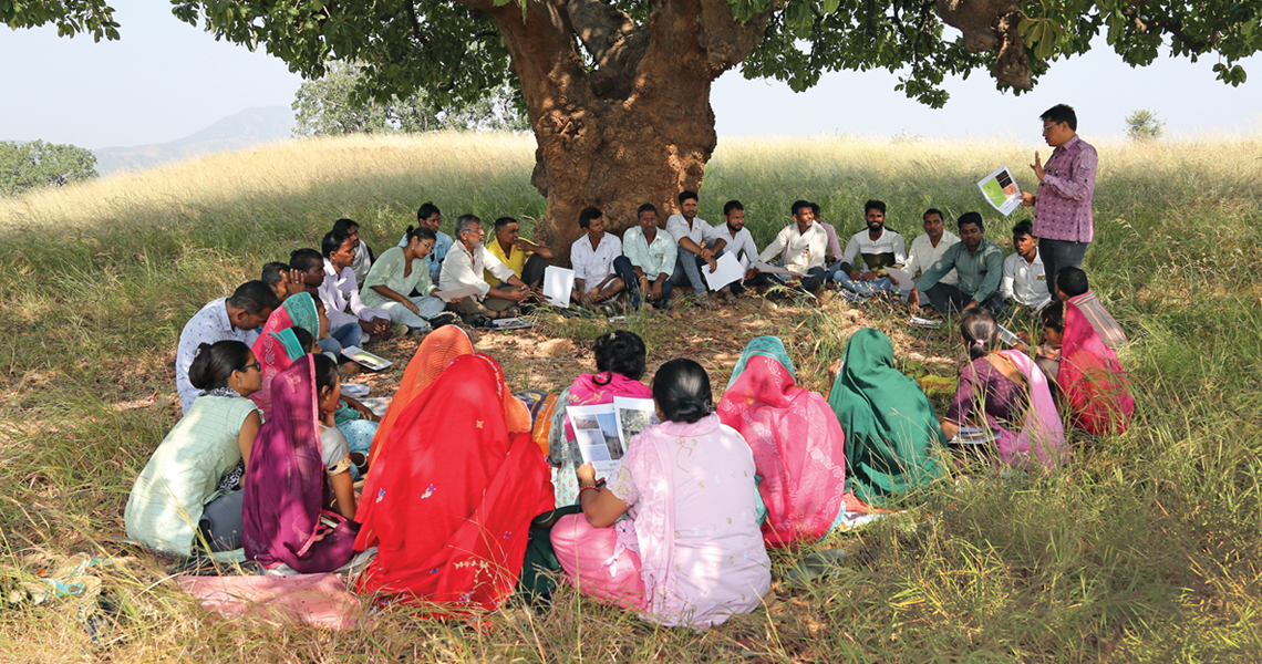 A capacity-building session on grass seeds collection for community members from Teerol village in Rajasthan's Udaipur district