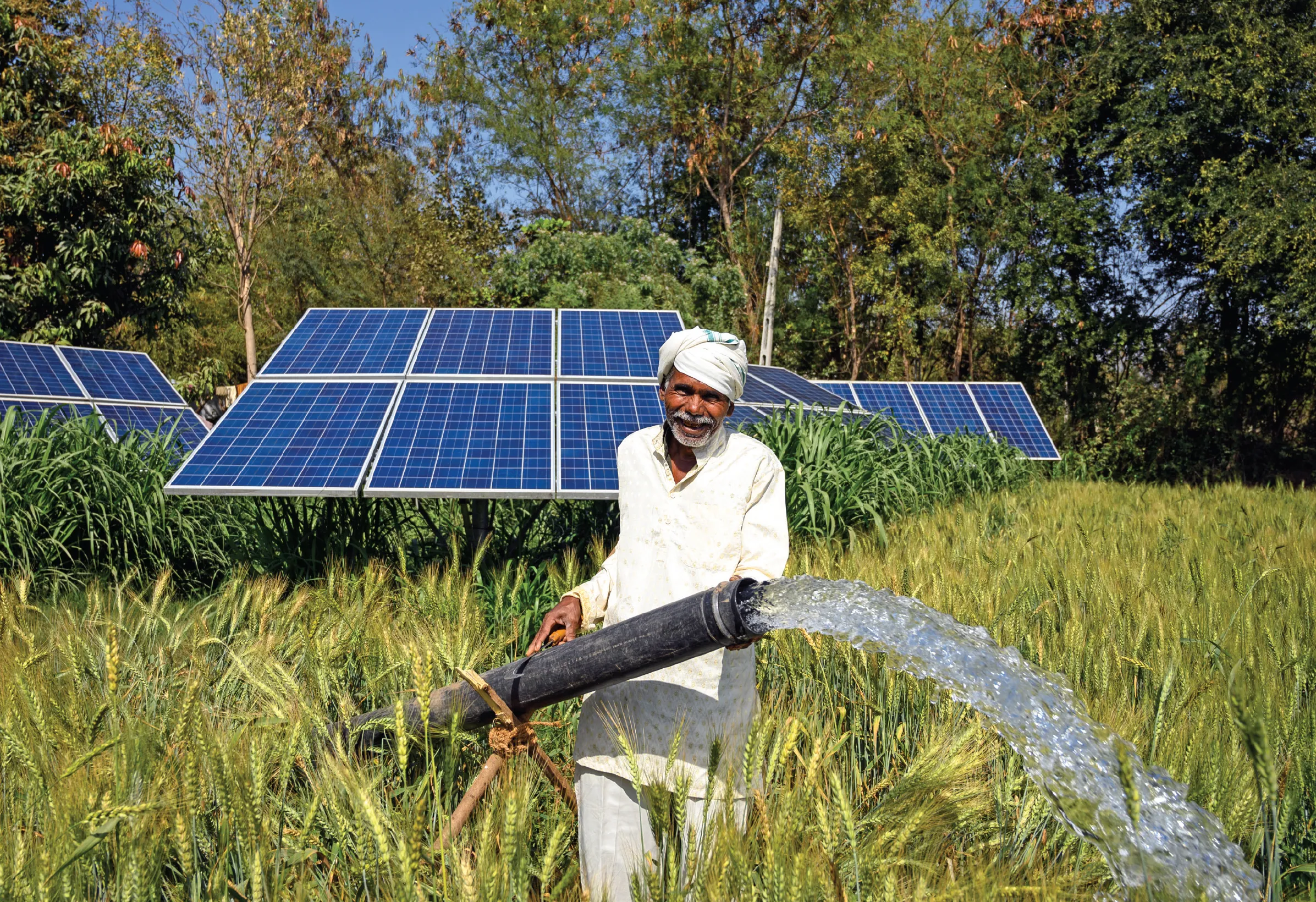 A farmer-member of a solar cooperative in Dhundi village in Gujarat’s Kheda District