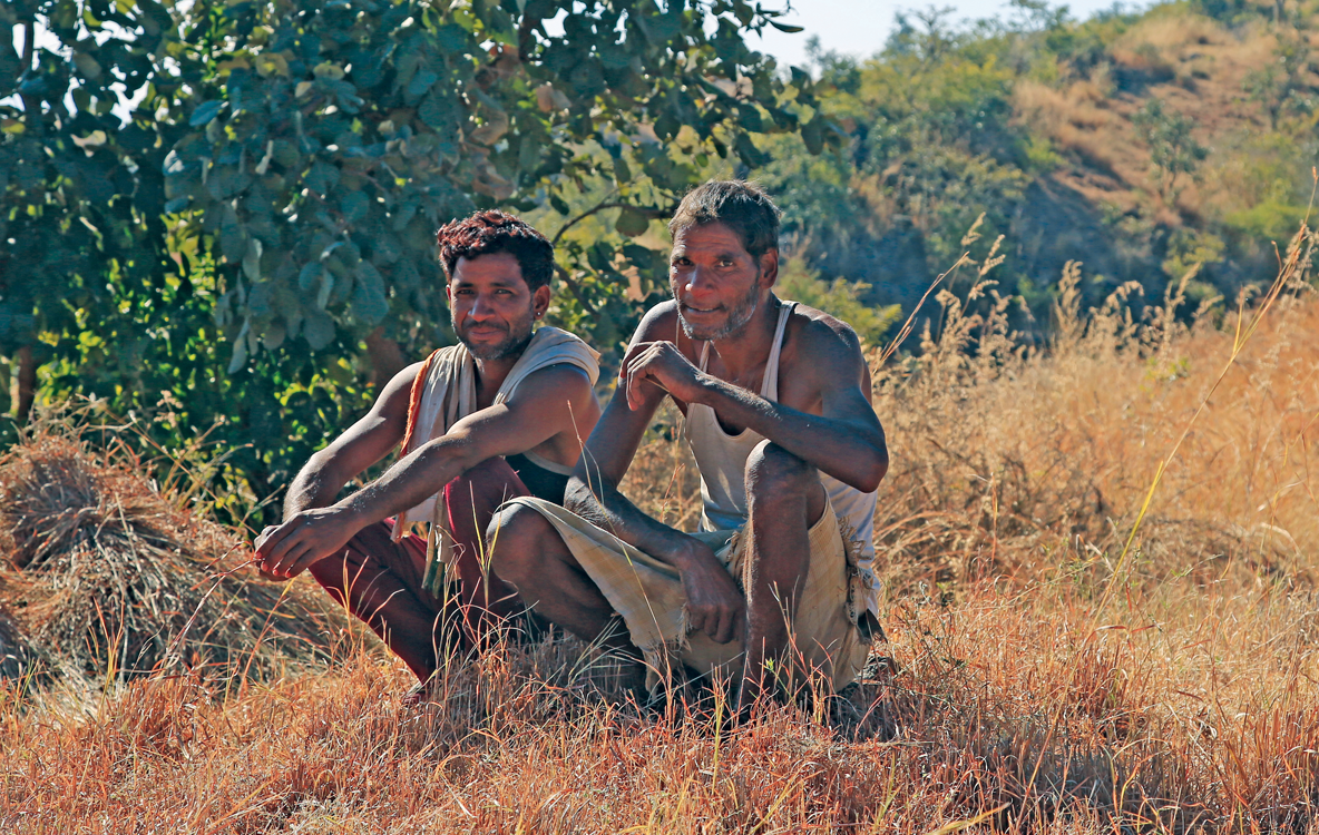 Two villagers from Khakhrakhuna in Udaipur district with their harvested grass